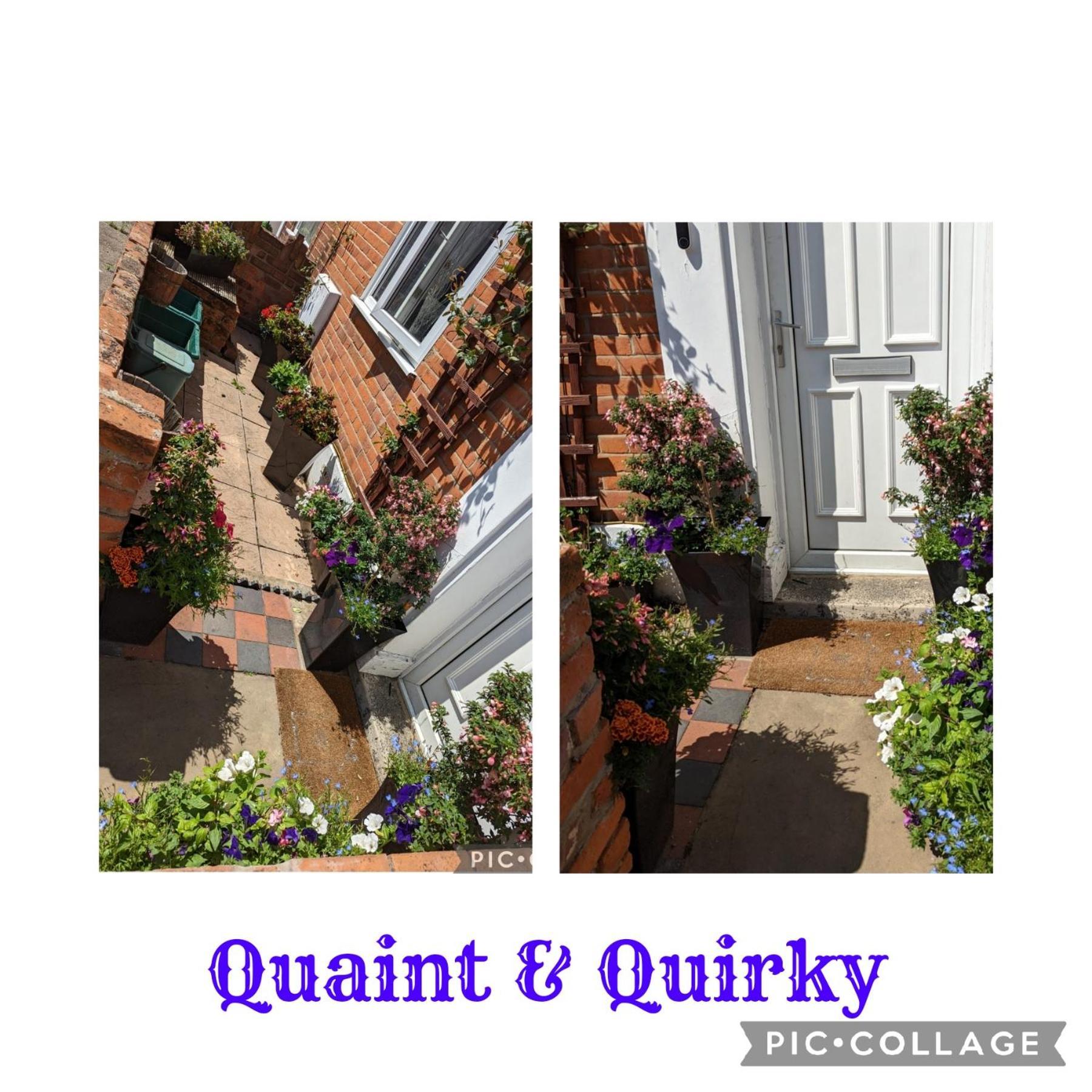 Quaint & Quirky House Colchester Town Centre Exterior foto